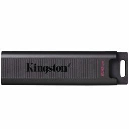 KINGSTON DTMAX/256GB